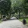 Park walk